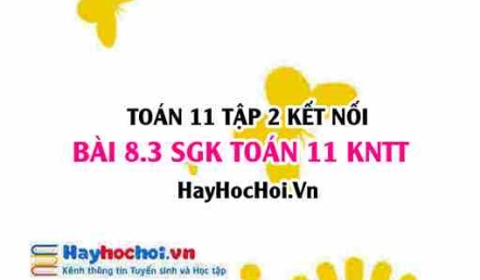Bài 8.3 SGK Toán 11 Tập 2 Kết nối tri thức